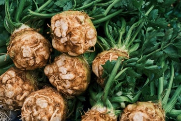 Gemüse Saison März, Sellerie