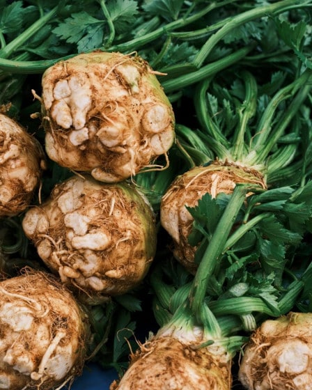 Gemüse Saison März, Sellerie