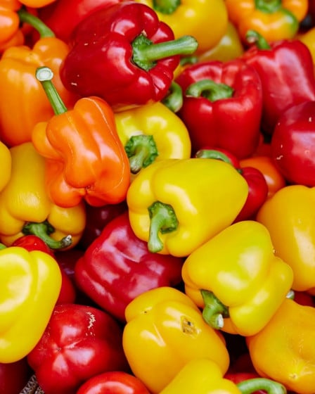 Gemüse Saison Juli, Paprika und Co