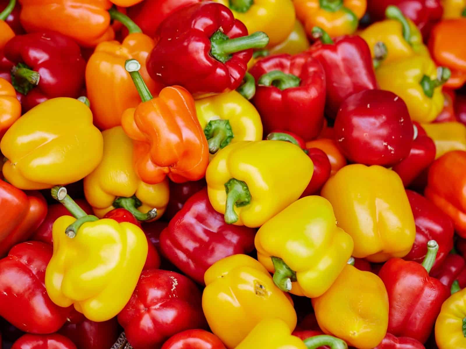 Gemüse Saison Juli, Paprika und Co