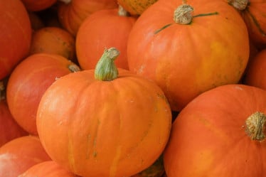 Gemüse Saison September, Kürbis