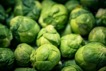 Gemüse Saison November, Rosenkohl