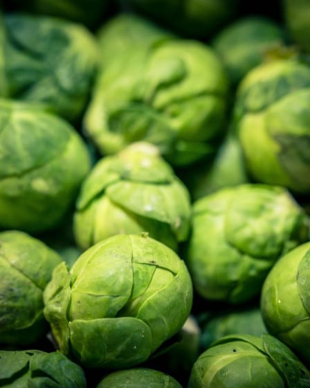 Gemüse Saison November, Rosenkohl