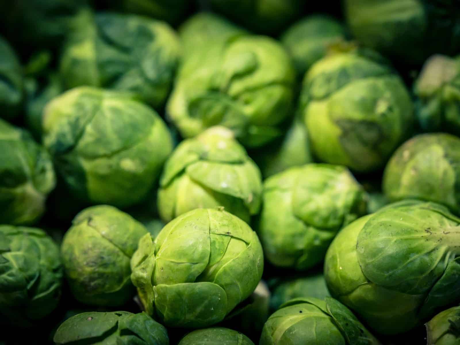 Gemüse Saison November, Rosenkohl