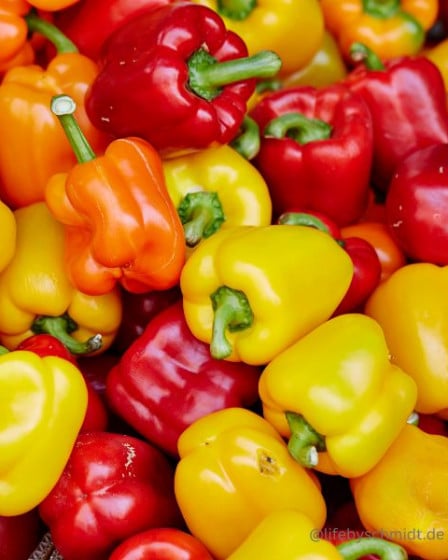 Saisonkalender Juli, Paprika