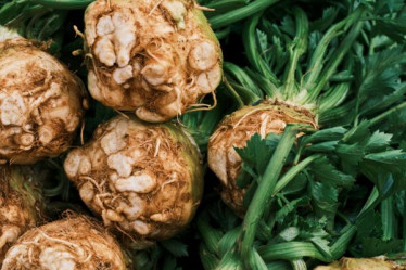 Saisonkalender Maerz Sellerie