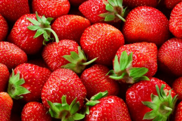 Saisonkalender Mai, Erdbeeren