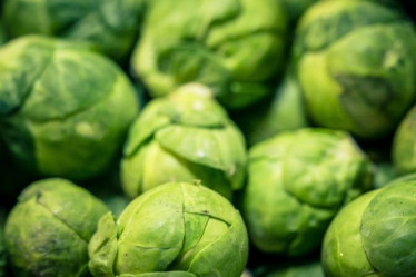 Saisonkalender November, Rosenkohl