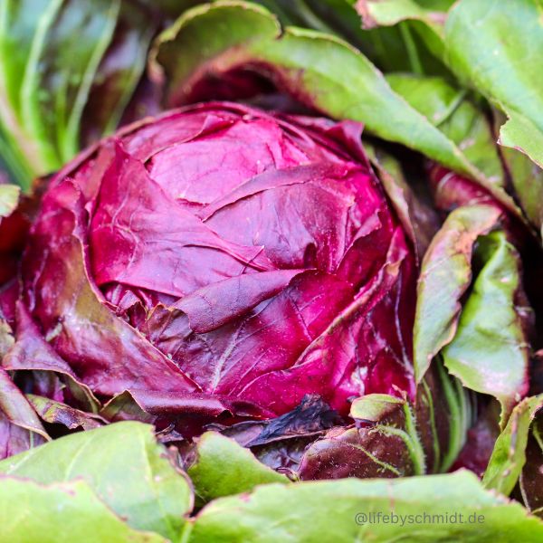 Saisonkalender Oktober, Rotkohl