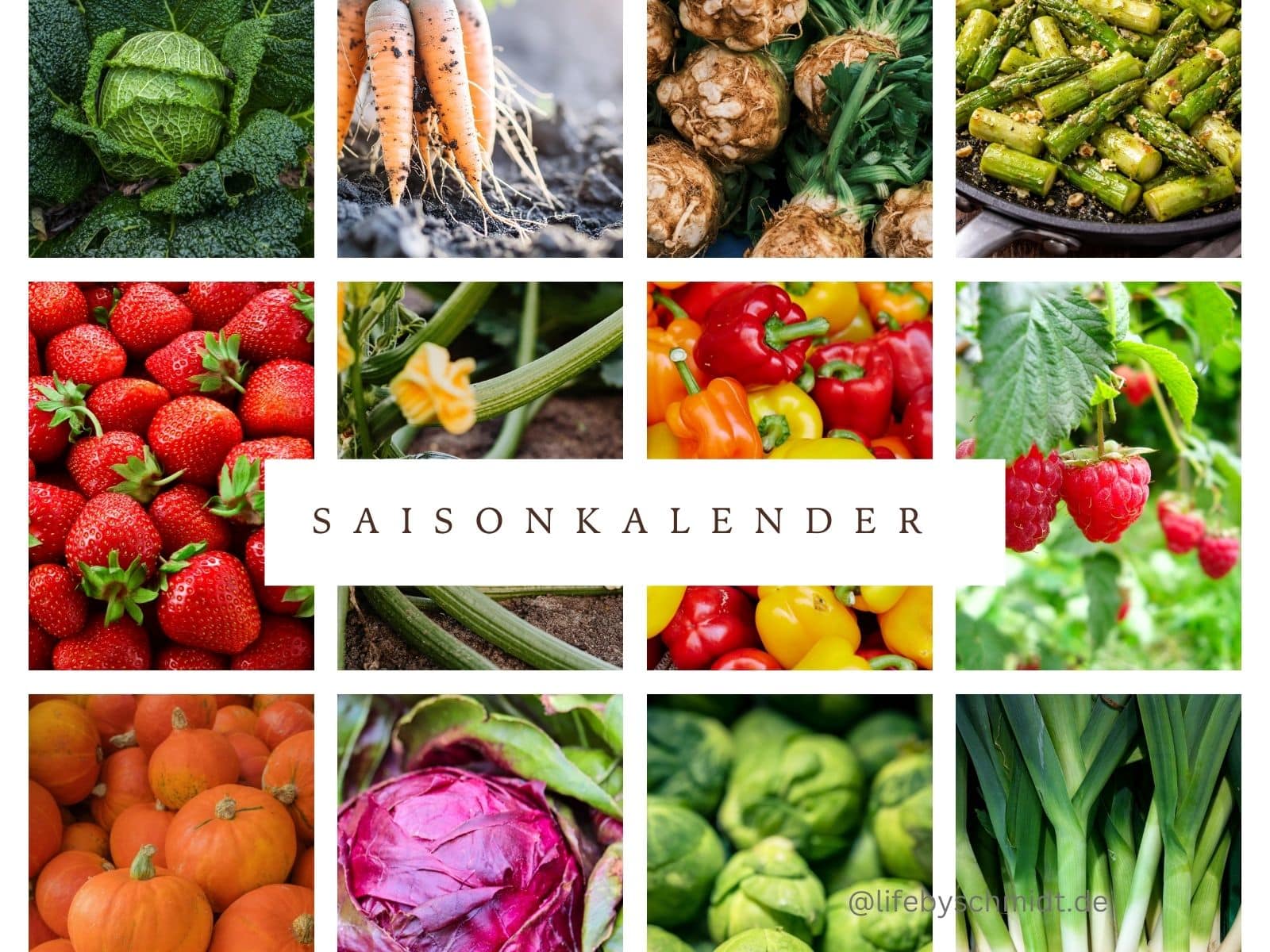 Saisonkalender: Gemüse und Obst nach Jahreszeit